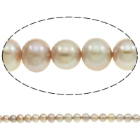 Bulvių išauginti gėlavandenių perlų karoliukai, Gėlo vandens perlų, Bulvė, natūralus, purpurinis, 10-11mm, Skylė:Apytiksliai 0.8mm, Parduota už Apytiksliai 16 Inch Strand