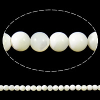 Naturlig Freshwater Shell Perler, Runde, hvid, 7mm, Hole:Ca. 0.8mm, Længde Ca. 15.7 inch, 10Strands/Lot, Solgt af Lot