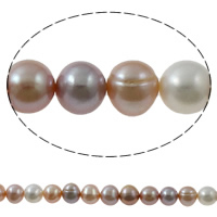 Brambor pěstované sladkovodní perle, Sladkovodní Pearl, přírodní, smíšené barvy, 10-11mm, Otvor:Cca 0.8mm, Prodáno za Cca 15.7 inch Strand