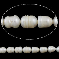 Riso coltivato in perla d'acqua dolce, perla d'acquadolce coltivata naturalmente, naturale, bianco, 10-11mm, Foro:Appross. 0.8mm, Venduto per Appross. 15.3 pollice filo