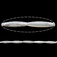 Perles en coquillage blanc naturel, coquille blanche, ovale, 30x7mm, Trou:Environ 1.2mm, Longueur Environ 15 pouce, 3Strandstoron/lot, Vendu par lot