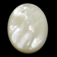 White Shell Cabochon Flat Oval & flat back Sold By Lot