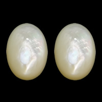 White Shell Cabochon Flat Oval flat back Sold By Lot
