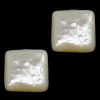 bianco conchiglia cabochon, Quadrato, a fondo piatto, 14x14x4.50mm, 30PC/lotto, Venduto da lotto
