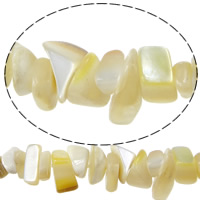 Natürliche gelbe Muschelperlen, Klumpen, 1-8x4-13.5x1-8mm, Bohrung:ca. 1mm, Länge ca. 15 ZollInch, 10SträngeStrang/Menge, ca. 132PCs/Strang, verkauft von Menge