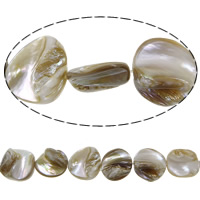Naturlig Freshwater Shell Perler, 17x15x6.50mm, Hole:Ca. 1mm, Længde Ca. 16 inch, 10Strands/Lot, Ca. 23pc'er/Strand, Solgt af Lot