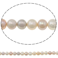 Brambor pěstované sladkovodní perle, Sladkovodní Pearl, přírodní, smíšené barvy, 8-9mm, Otvor:Cca 0.8mm, Prodáno za Cca 15.5 inch Strand