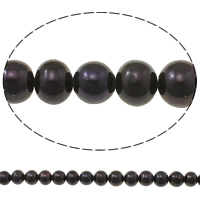 Brambor pěstované sladkovodní perle, Sladkovodní Pearl, přírodní, černý, 8-9mm, Otvor:Cca 0.8mm, Prodáno za Cca 15.1 inch Strand