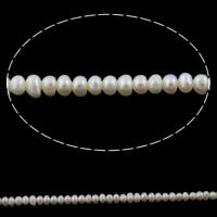 Spłaszczone koraliki z pereł słodkowodnych hodowlanych, Perła naturalna słodkowodna, Guzik, Naturalne, biały, 3-4mm, otwór:około 0.8mm, sprzedawane na około 15.1 cal Strand