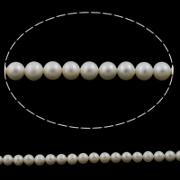 Bulvių išauginti gėlavandenių perlų karoliukai, Gėlo vandens perlų, Bulvė, natūralus, baltas, 6mm, Skylė:Apytiksliai 0.8mm, Parduota už Apytiksliai 15 Inch Strand