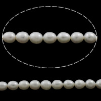 Riso coltivato in perla d'acqua dolce, perla d'acquadolce coltivata naturalmente, naturale, bianco, 9-10mm, Foro:Appross. 0.8mm, Venduto per Appross. 16.1 pollice filo