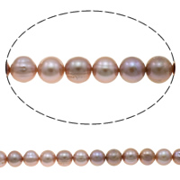 Bulvių išauginti gėlavandenių perlų karoliukai, Gėlo vandens perlų, Bulvė, natūralus, purpurinis, 8-9mm, Skylė:Apytiksliai 0.8mm, Parduota už Apytiksliai 15.7 Inch Strand