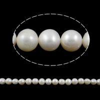 Bulvių išauginti gėlavandenių perlų karoliukai, Gėlo vandens perlų, Bulvė, natūralus, baltas, 10-11mm, Skylė:Apytiksliai 0.8mm, Parduota už 15 Inch Strand