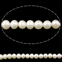 Bulvių išauginti gėlavandenių perlų karoliukai, Gėlo vandens perlų, Bulvė, natūralus, baltas, 4-5mm, Skylė:Apytiksliai 0.8mm, Parduota už Apytiksliai 13.3 Inch Strand