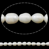 Ris odlad sötvattenspärla pärlor, Freshwater Pearl, naturlig, vit, 10-11mm, Hål:Ca 2mm, Såld Per Ca 15.7 inch Strand