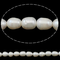 Riso coltivato in perla d'acqua dolce, perla d'acquadolce coltivata naturalmente, naturale, bianco, 11-12mm, Foro:Appross. 2.5mm, Venduto per Appross. 14.7 pollice filo