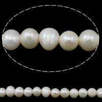 Bulvių išauginti gėlavandenių perlų karoliukai, Gėlo vandens perlų, Bulvė, natūralus, baltas, 10-11mm, Skylė:Apytiksliai 2mm, Parduota už Apytiksliai 15.3 Inch Strand