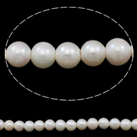 Perlas Redondas Freshwater, Perlas cultivadas de agua dulce, Esférico, natural, Blanco, 11-12mm, agujero:aproximado 2.5mm, Vendido para aproximado 15 Inch Sarta