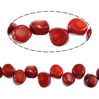 Natural Coral Beads red 12-13.5x13-16x8-11mm Approx 0.5mm Length Approx 16.5 Inch Approx Sold By Lot