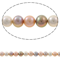Kulaté kultivované sladkovodní perle, Sladkovodní Pearl, Kolo, přírodní, multi-barevný, 11-12mm, Otvor:Cca 0.8mm, Prodáno za Cca 15.7 inch Strand