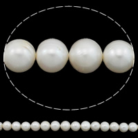 Apvalūs Kultūringas gėlavandenių perlų karoliukai, Gėlo vandens perlų, Turas, su Troll, baltas, Įvertinimas A., 11-12mm, Skylė:Apytiksliai 0.8mm, Parduota už Apytiksliai 15.7 Inch Strand