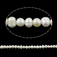 Apvalūs Kultūringas gėlavandenių perlų karoliukai, Gėlo vandens perlų, Bulvė, natūralus, baltas, Įvertinimas, 6-7mm, Skylė:Apytiksliai 0.8mm, Parduota už Apytiksliai 14 Inch Strand