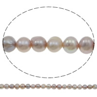 Brambor pěstované sladkovodní perle, Sladkovodní Pearl, přírodní, nachový, 5-6mm, Otvor:Cca 0.8mm, Prodáno za Cca 14.5 inch Strand