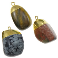 Pingentes em  jóias, misto de pedras semi-preciosas, with ferro, cromado de cor dourada, misto, 18-26mm, Buraco:Aprox 2mm, 20PCs/Lot, vendido por Lot