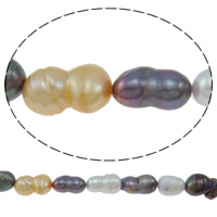 Barocco coltivate in acqua dolce Perla, perla d'acquadolce coltivata naturalmente, colori misti, 11-19mm, Foro:Appross. 0.8mm, Venduto per 15.7 pollice filo