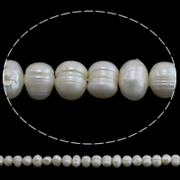 Bulvių išauginti gėlavandenių perlų karoliukai, Gėlo vandens perlų, Bulvė, natūralus, baltas, Įvertinimas, 7-8mm, Skylė:Apytiksliai 0.8mm, Parduota už Apytiksliai 14 Inch Strand