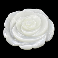 Λευκό Shell Cabochon, Λουλούδι, επίπεδη πλάτη, 25x25x4mm, 20PCs/Παρτίδα, Sold Με Παρτίδα