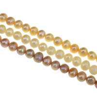 Brambor pěstované sladkovodní perle, Sladkovodní Pearl, přírodní, více barev na výběr, Grade AA, 5.5-6mm, Otvor:Cca 0.8mm, Prodáno za Cca 15 inch Strand