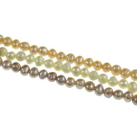 Bulvių išauginti gėlavandenių perlų karoliukai, Gėlo vandens perlų, Bulvė, natūralus, daugiau spalvų pasirinkimas, Įvertinimas, 3-3.5mm, Skylė:Apytiksliai 0.8mm, Parduota už Apytiksliai 15 Inch Strand
