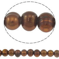 Brambor pěstované sladkovodní perle, Sladkovodní Pearl, káva barva, Grade AA, 10-11mm, Otvor:Cca 2.5mm, Prodáno za Cca 15 inch Strand