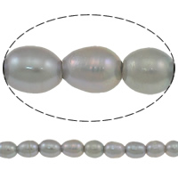 Riso coltivato in perla d'acqua dolce, perla d'acquadolce coltivata naturalmente, grigio, Grade AA, 10-11mm, Foro:Appross. 2.5mm, Venduto per Appross. 15 pollice filo