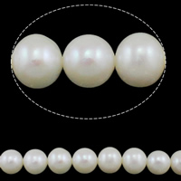 Turno coltivate in acqua dolce Perla, perla d'acquadolce coltivata naturalmente, Cerchio, naturale, bianco, AAA Grade, 8-9mm, Foro:Appross. 0.8mm, Venduto per Appross. 15 pollice filo