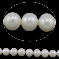 Brambor pěstované sladkovodní perle, Sladkovodní Pearl, přírodní, bílý, Grade AA, 8-9mm, Otvor:Cca 0.8mm, Prodáno za Cca 15 inch Strand