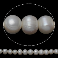 Bulvių išauginti gėlavandenių perlų karoliukai, Gėlo vandens perlų, Bulvė, natūralus, baltas, 7-8mm, Skylė:Apytiksliai 0.8mm, Parduota už Apytiksliai 16 Inch Strand