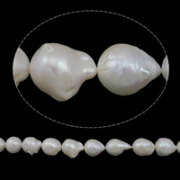 Sötvatten Odlade kämförsedda pärla pärlor, Odlade sötvattens med kärnor Pearl, Keishi, naturlig, vit, 13-19mm, Hål:Ca 0.8mm, Såld Per Ca 15.7 inch Strand