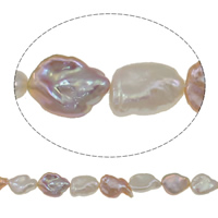 Keishi kultivované sladkovodní perle, Sladkovodní Pearl, přírodní, smíšené barvy, třída AAA, 13-15mm, Otvor:Cca 0.8mm, Prodáno za Cca 15.7 inch Strand