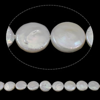 Coin Tenyésztett édesvízi gyöngy Gyöngyök, Édesvízi gyöngy, Érme, természetes, fehér, grade AAA, 14-15mm, Lyuk:Kb 0.8mm, Naponta eladott Kb 15.3 inch Strand