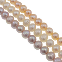Brambor pěstované sladkovodní perle, Sladkovodní Pearl, přírodní, více barev na výběr, Grade AA, 9-10mm, Otvor:Cca 0.8mm, Prodáno za Cca 15 inch Strand