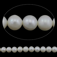 Brambor pěstované sladkovodní perle, Sladkovodní Pearl, přírodní, bílý, Grade AA, 9-10mm, Otvor:Cca 0.8mm, Prodáno za Cca 15 inch Strand