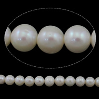 Bulvių išauginti gėlavandenių perlų karoliukai, Gėlo vandens perlų, Bulvė, natūralus, baltas, Įvertinimas AAA, 9-10mm, Skylė:Apytiksliai 0.8mm, Parduota už Apytiksliai 15 Inch Strand