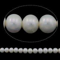 Knap ferskvandskulturperle Beads, Ferskvandsperle, Button, naturlig, hvid, Grade AAA, 9-10mm, Hole:Ca. 0.8mm, Solgt Per Ca. 15 inch Strand