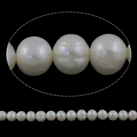Bulvių išauginti gėlavandenių perlų karoliukai, Gėlo vandens perlų, Bulvė, natūralus, baltas, Įvertinimas, 7-8mm, Skylė:Apytiksliai 0.8mm, Parduota už Apytiksliai 15 Inch Strand