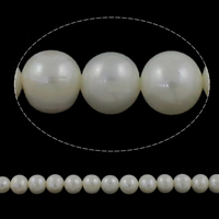 Brambor pěstované sladkovodní perle, Sladkovodní Pearl, přírodní, bílý, Grade AA, 7-8mm, Otvor:Cca 0.8mm, Prodáno za Cca 15 inch Strand