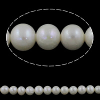 Bulvių išauginti gėlavandenių perlų karoliukai, Gėlo vandens perlų, Bulvė, natūralus, baltas, Įvertinimas AAA, 7-8mm, Skylė:Apytiksliai 0.8mm, Parduota už Apytiksliai 15 Inch Strand