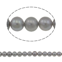 Bulvių išauginti gėlavandenių perlų karoliukai, Gėlo vandens perlų, Bulvė, pilkas, Įvertinimas AAA, 7-8mm, Skylė:Apytiksliai 0.8mm, Parduota už Apytiksliai 15 Inch Strand