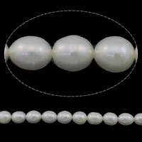 Riso coltivato in perla d'acqua dolce, perla d'acquadolce coltivata naturalmente, naturale, bianco, grado A, 7-8mm, Foro:Appross. 0.8mm, Venduto per Appross. 15 pollice filo